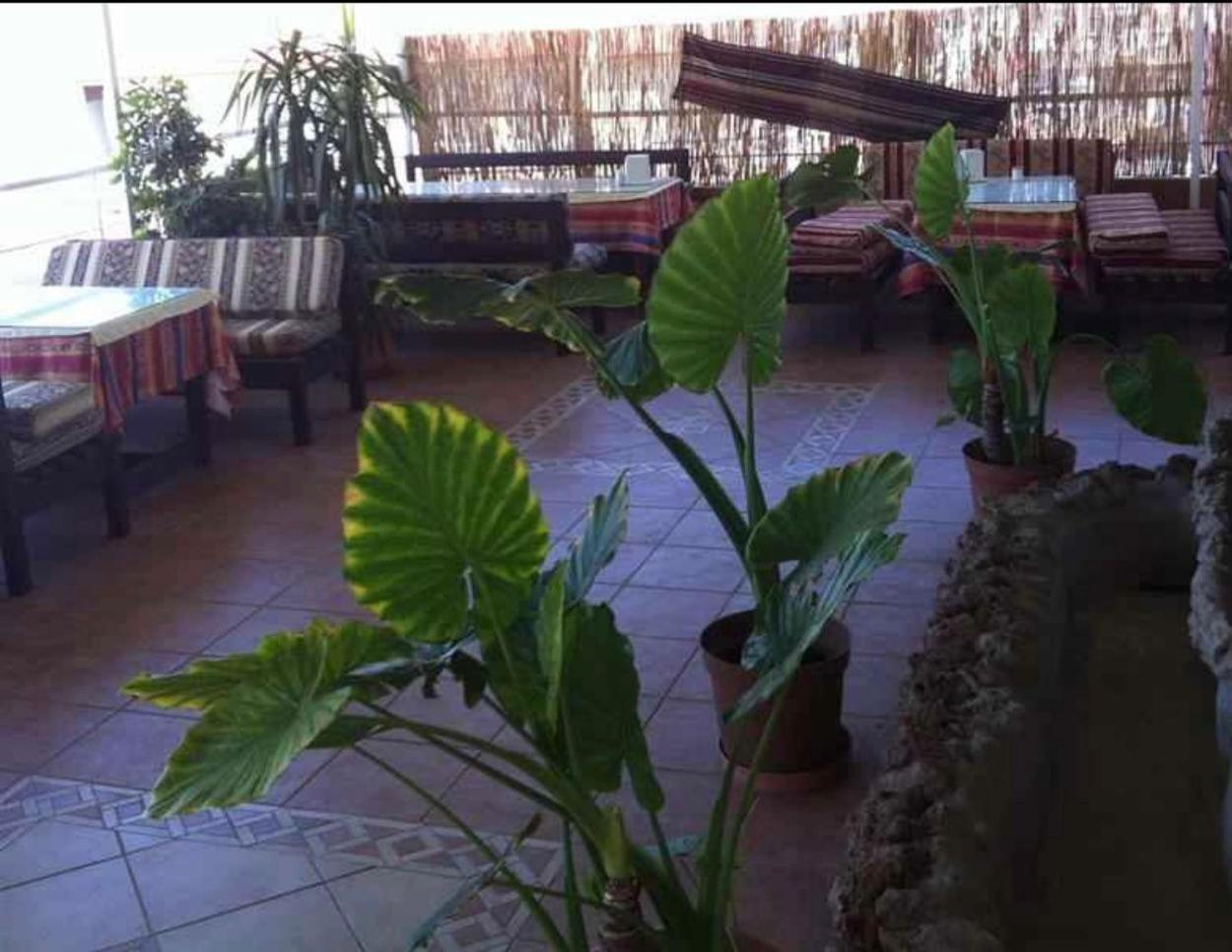 Denizhan Hotel Antalya Extérieur photo